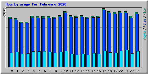 Hourly usage for February 2020