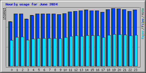 Hourly usage for June 2024